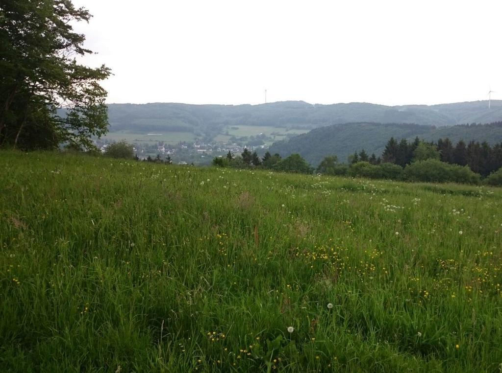 Ferienwohnung Mai Plettenberg Esterno foto